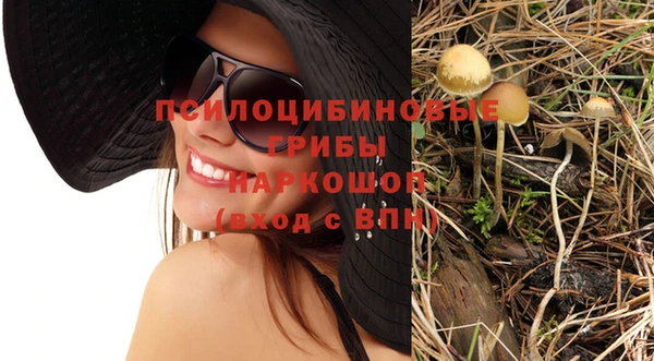мескалин Краснослободск